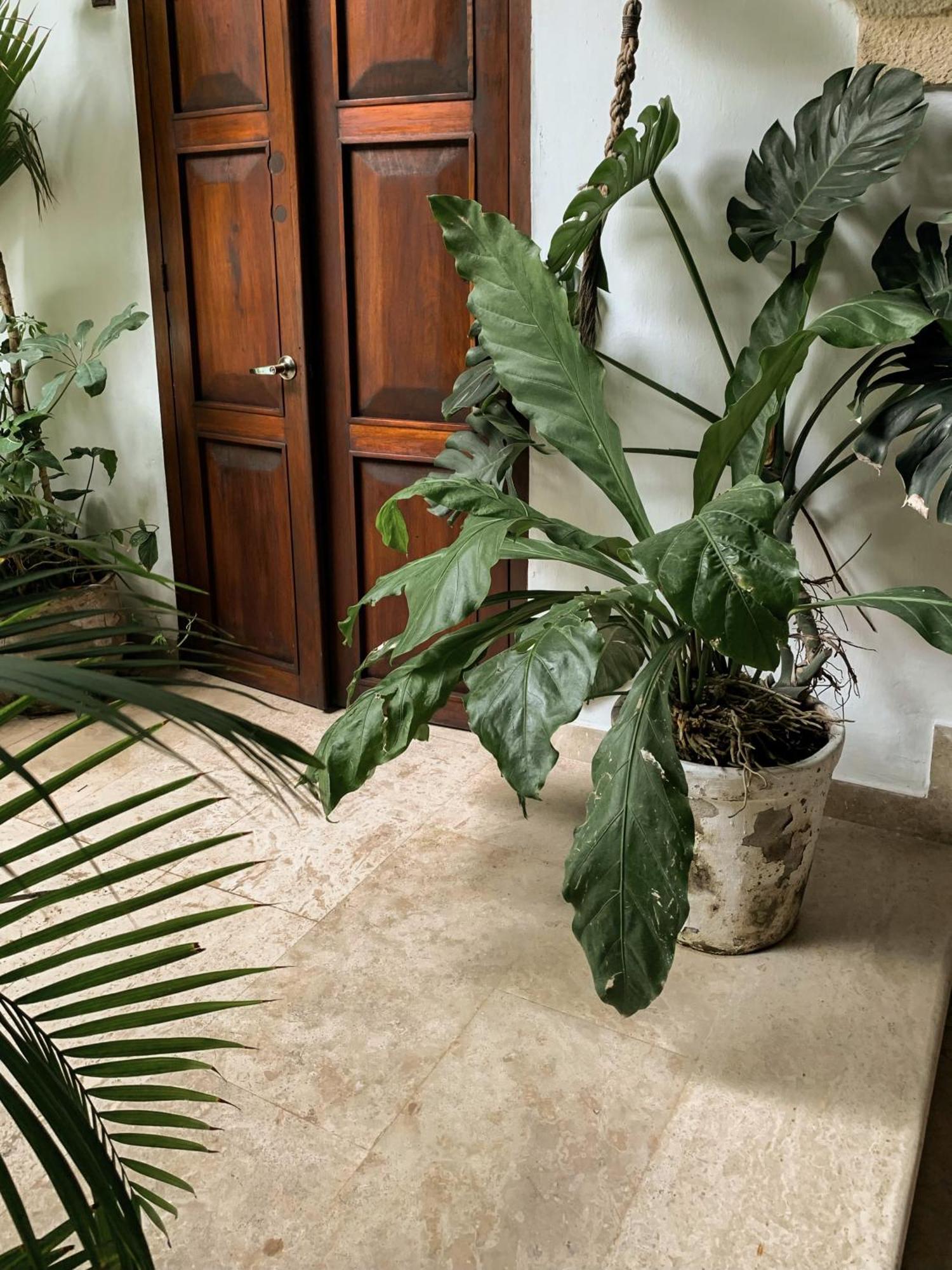 Hotel Boutique Casa Del Arzobispado Cartagena المظهر الخارجي الصورة